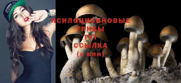 первитин Абаза